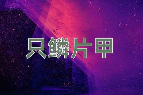 成语只鳞片甲