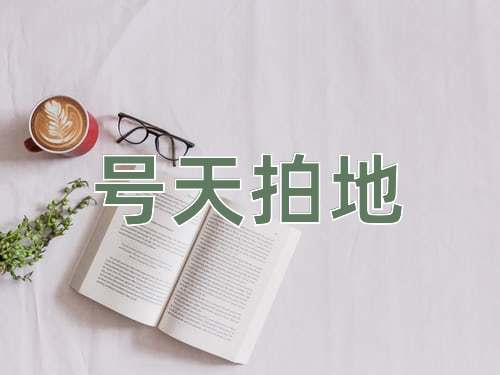 成语号天拍地