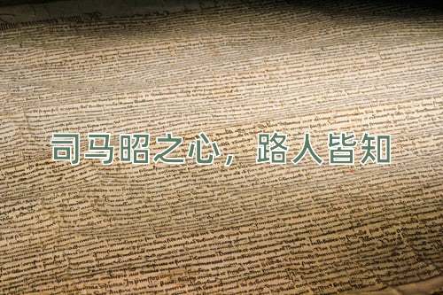 成语司马昭之心，路人皆知