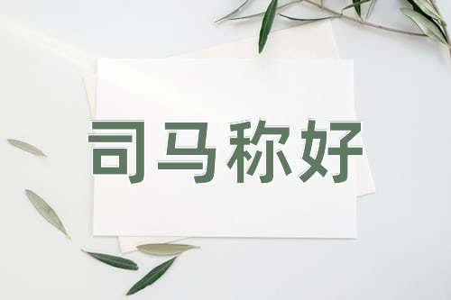 成语司马称好