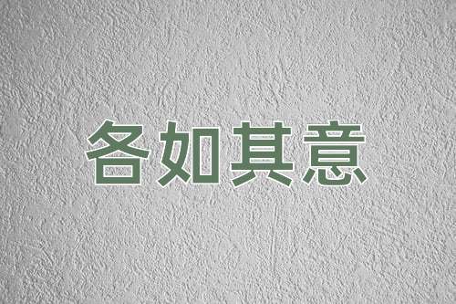 成语各如其意