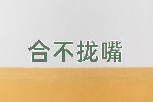 成语合不拢嘴