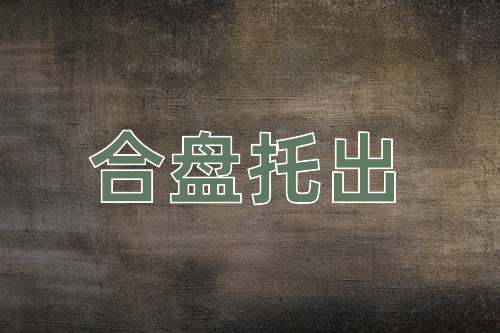 成语合盘托出