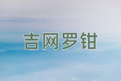 成语吉网罗钳