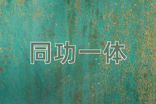 成语同功一体