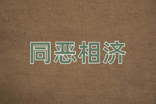 成语同恶相济
