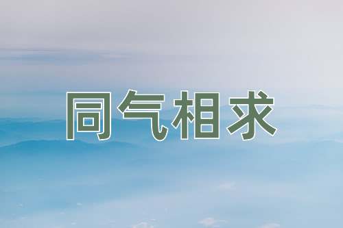 成语同气相求
