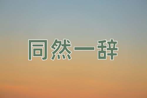 成语同然一辞