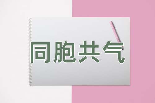 成语同胞共气