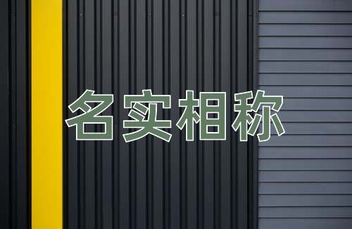 成语名实相称
