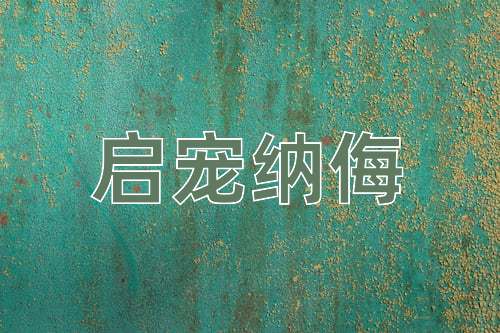 成语启宠纳侮