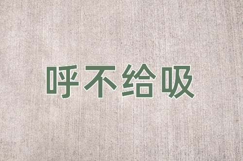 成语呼不给吸