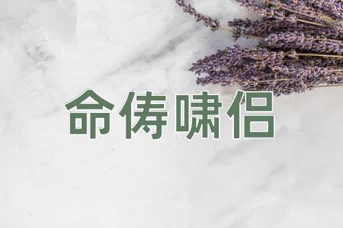 成语命俦啸侣
