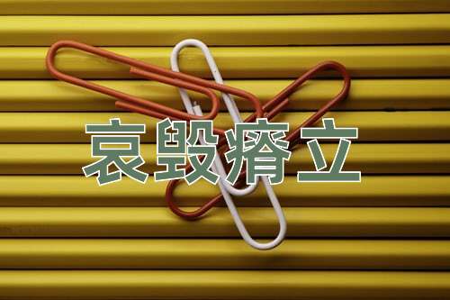 成语哀毁瘠立