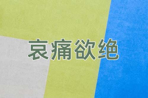 成语哀痛欲绝