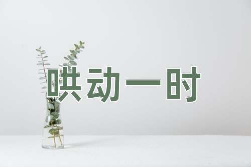 成语哄动一时