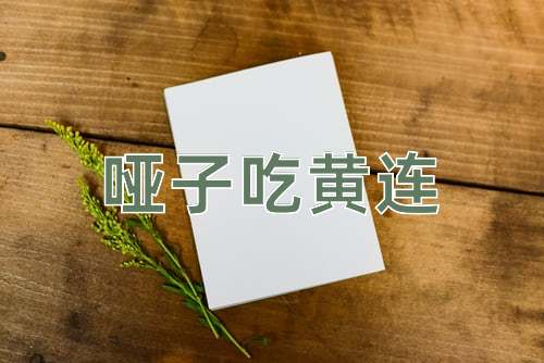 成语哑子吃黄连