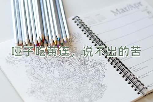 成语哑子吃黄连，说不出的苦