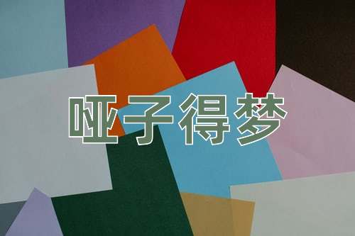 成语哑子得梦