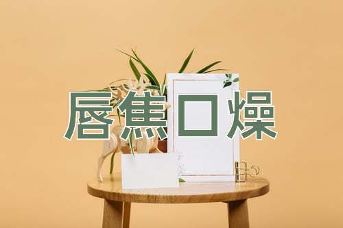 成语唇焦口燥