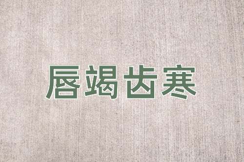 成语唇竭齿寒