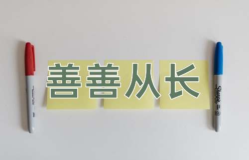 成语善善从长