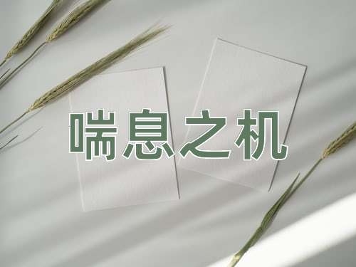 成语喘息之机