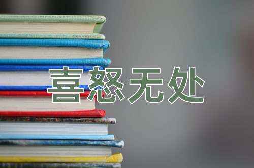 成语喜怒无处