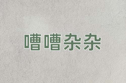 成语嘈嘈杂杂