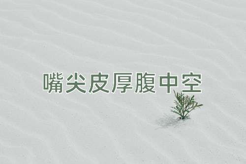 成语嘴尖皮厚腹中空