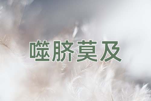 成语噬脐莫及