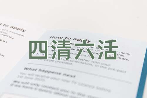 成语四清六活