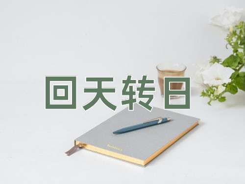 成语回天转日