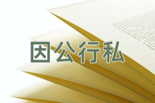 成语因公行私