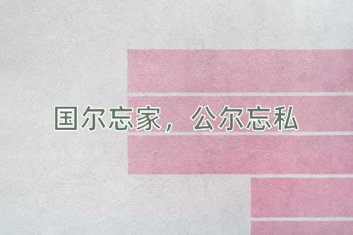 成语国尔忘家，公尔忘私