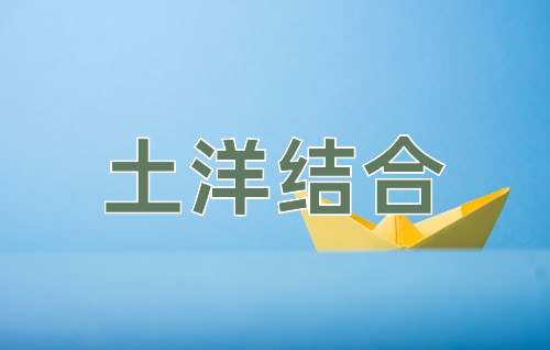 成语土洋结合