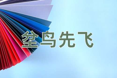 成语坌鸟先飞