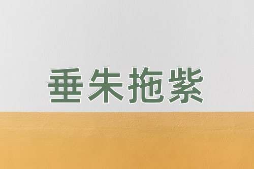 成语垂朱拖紫