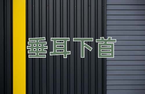 成语垂耳下首