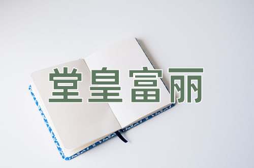 成语堂皇富丽