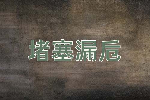 成语堵塞漏卮