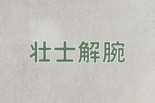 成语壮士解腕