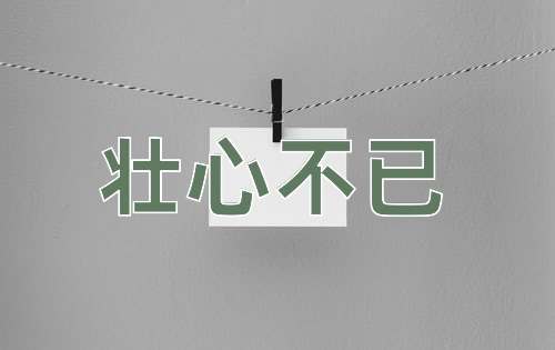 成语壮心不已