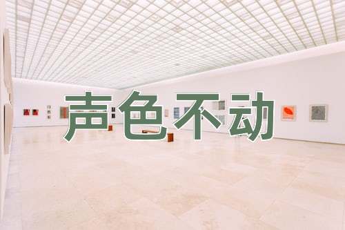 成语声色不动