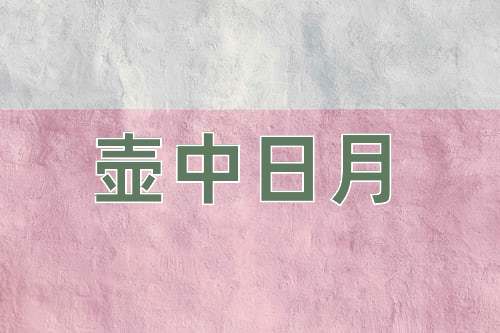 成语壶中日月