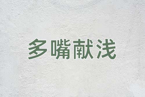 成语多嘴献浅