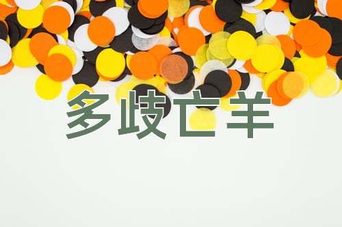 成语多歧亡羊