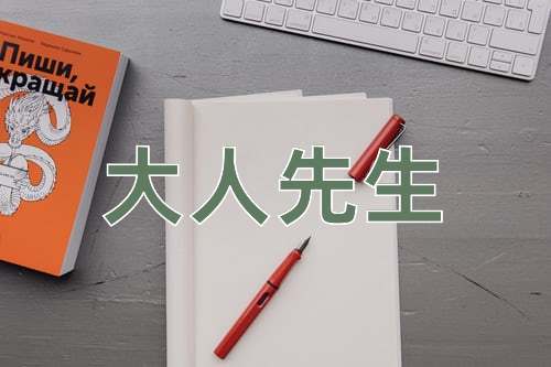 成语大人先生