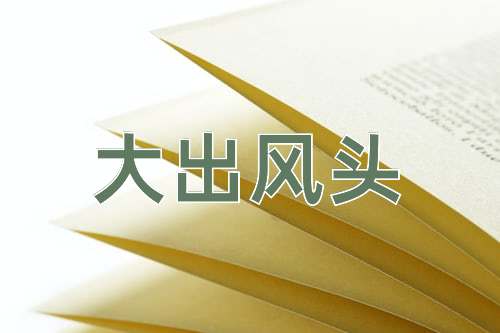 成语大出风头