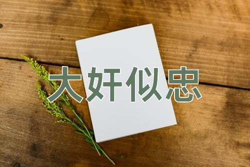 成语大奸似忠